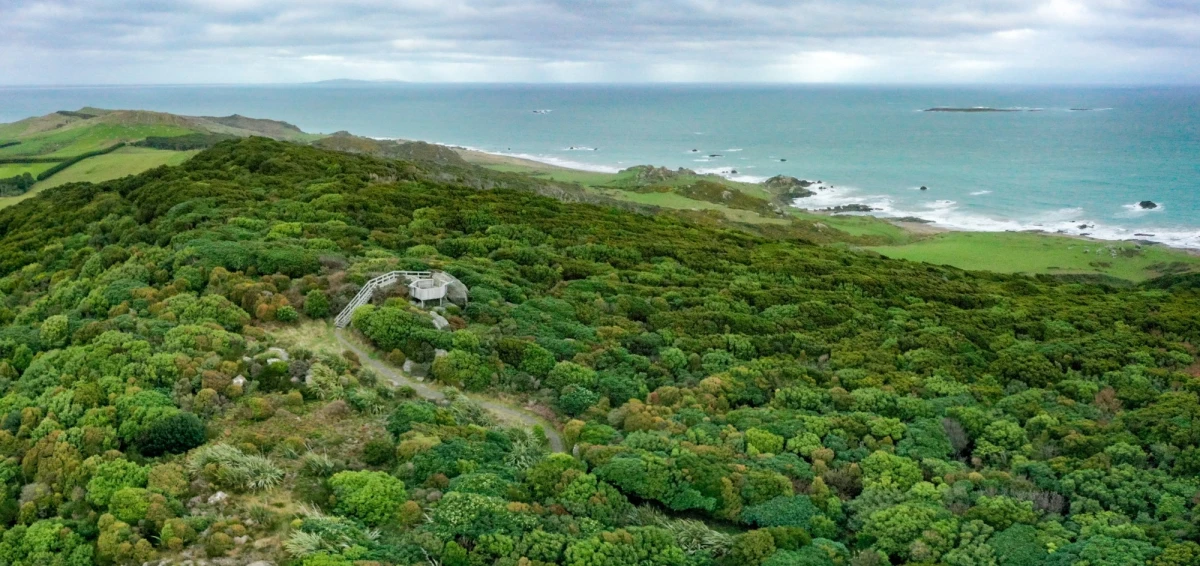 453045 mores scenic reserve southland new zealand credit tourism new zealand 11