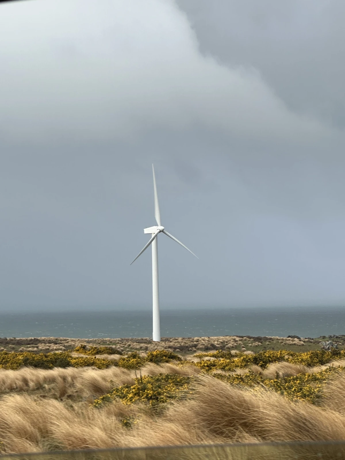 wind f2