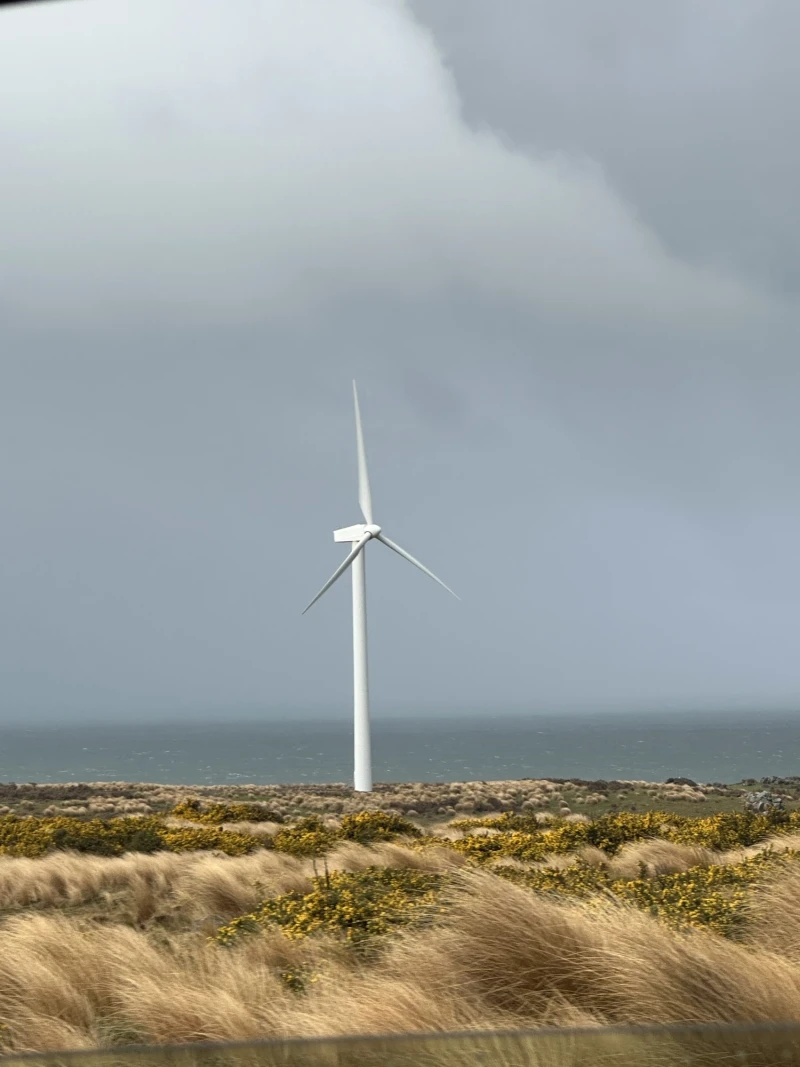 wind f2